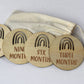 Rainbow Baby Milestone Discs - Cut Base Set